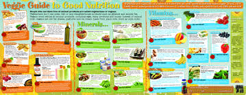 25 abiding vitamins minerals proteins fats carbohydrates chart