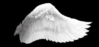 2800x1900 dark angel wings wallpaper wings hd wallpapers. Angel Wings Png Transparent Novocom Top