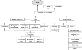 5 flow chart of sheep goat milk production adapted from