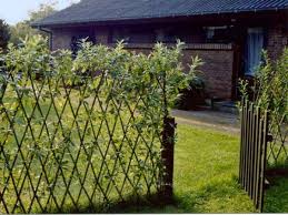 Alternative Zu Zaun Und Hecke Garten Gartengestaltung Im Freien