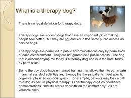 The companionship of this animal. Service Dogs Therapy Dogs Emotional Support Animals