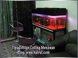 Pertandingan ikan laga liar malaysia malaysia wild betta competition. Cara Menjaga Ikan Dan Tips Mengelak Air Akuarium Cepat Keruh Chef Hairul Hissam