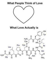 Von Der Ich Verdammt Liebe Wissenschaft Seite Auf Facebook Ware Ein Wirklich Cooles Tatto Cooles Facebook Liebe Chemie Tattoo Wissenschaft Worter