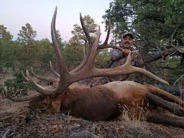 Twice i have used garth carter and his huntinfool magazine for advice when i drew a mule deer permit in colorado (2005) and an elk permit in unit 23 in arizona (2005). A 24 Year Journey Huntin Fool