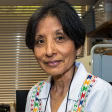 Noris Salazar Allen, despejando las claves de la vida temprana en nuestro  planeta