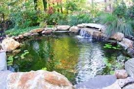 Who doesn't love a white aesthetic? 3 Surprising Benefits Of Backyard Koi Ponds Borsello Landscaping