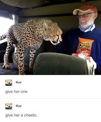 She Looks More Interested In Chester The Cheetah Than The Cheetos Funny Animals Tumblr Funny Cute Funny Animals