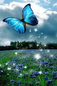 Best Live Wallpaper Free Computer Wallpaper Free Wallpaper Downloads Butterfly Wallpaper Butterfly Live Aquarium Live Wallpaper