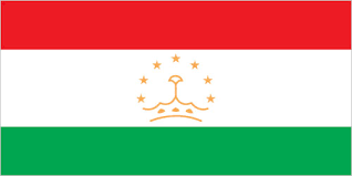04509801e タジキスタン国旗 70×105 全1色 （太田旗店 のぼり のれん イーゼル 幕 提灯 袢天 前掛け 国旗 福袋 式典 抽選 運動会） 多種多彩な世界国旗!＜外国旗の取り扱いについて＞ 国によって紋章. ã‚¿ã‚¸ã‚­ã‚¹ã‚¿ãƒ³å…±å'Œå›½ æ±äº¬éƒ½ç«‹å›³æ›¸é¤¨