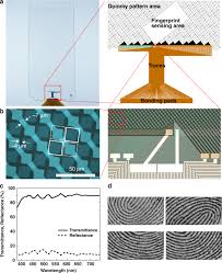 The task scheduler and the cpu. On Screen Fingerprint Sensor With Optically And Electrically Tailored Transparent Electrode Patterns For Use On High Resolution Mobile Displays Microsystems Nanoengineering