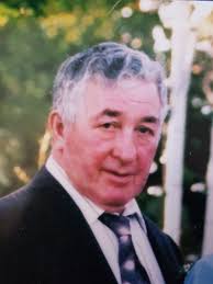 Contributions to the tribute of Thomas Francis O'Brien: ...