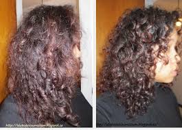 Masque Henne Bringaraj Brahmi Et Rhassoul Paperblog Idees De Coiffures Cheveux Afro Idees Cheveux Longs