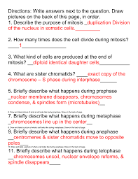 Image Result For Mitosis Worksheet 2 Answer Key Simplifying Algebraic Expressions Simplifying Radical Expressions Vocabulary