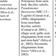 Image result for Terminalia sambesiaca