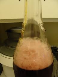 Converting Milk Kefir Grains Milk Kefir Grains Milk Kefir Kefir