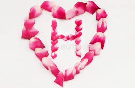 82270 best hearts letter f ✓ free stock photos download for commercial use in. Love Shape Rose Petal Letter L Background Image On White Background Letter L Into Love Shape Stock Photo Image Of Macro Alphabet 173939578