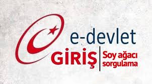 Vatandaşlar adeta e devletin internet sitesine hücum edince sistem kilitlendi. E Devlet Te Soy Agaci Sorgulamasi Arayanlara Kotu Haber Soy Agaci Sorgulama Bitti Mi Alt Ust Soy Bilgisi Durduruldu Ekonomi Haberleri