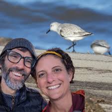 Adventures from 2025 Photo 1: Seagulls at Huntington Beach State Park
