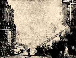 Image result for Harveya helenae