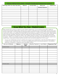 The debt reduction chart provides the same information in a graphical representation, it makes it easy to understand your debts. Debt Snowball Spreadsheet Google Docs Spreadsheets Forms Sheets Calculator Sarahdrydenpeterson