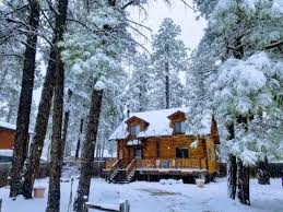163 pet friendly vacation rentals to book online direct from owner for estes park, co. 10 Charming Pet Friendly Vacation Rentals In Arizona