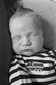 Spruce Grove Newsletter