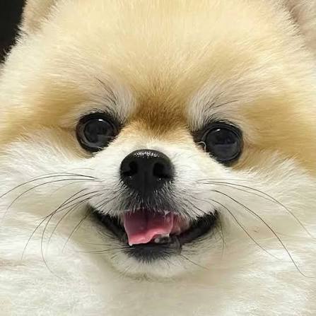 둥이 | 이막둥 (@makdoong_i) • Instagram photos and videos