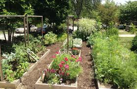 Plant a vegetable garden and you can bring fresh, nutritious veggies to your table. Why You Should Plant A Front Yard Veggie Garden