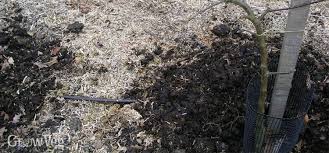 It costs more than average mulch, and this can be off putting. Preparing The Ground Around Fruit For The New Growing Season