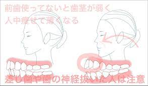 鼻の下が痩せた人 人中 鼻の下 前歯