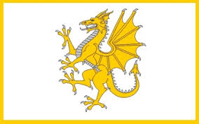 Download flag (filled in with name) download flag (filled in without name) download flag (outline with name) download flag (outline without name) download mini flags (16 flags per page) History Of Welsh Flags