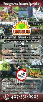 Proper tree services necessary to keep your trees and shrubs looking their best. A Sun State Tree Service Home Facebook