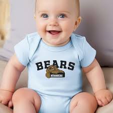 Nürnberg Bears T-Shirt, Nürnberg Bears Sweatshirt, Nürnberg Bears Hoodie,  Eishockey Shirt, Fan Shirt Nürnberg Bears, Nürnberg Eishockey