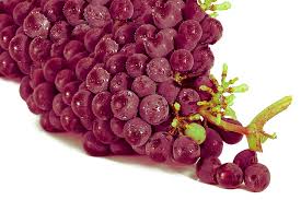 We did not find results for: Kelompok Makanan Buah Anggur Gambar Anggur Merah Wallpaper Hd Wallpaperbetter