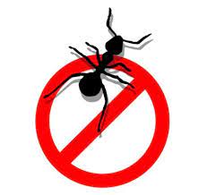 Ants can live almost anywhere, and detroit is no exception. Ants Pest Control Ants Control Services Neelam Pest Control Services Dehradun Id 21666092362