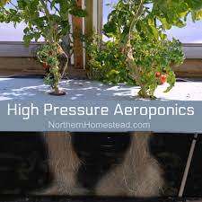 High Pressure Aeroponics Guide Northern Homestead