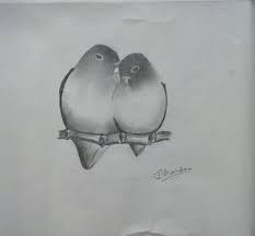 Love Birds The Visible Invisibility Love Birds Sketch Drawings Pencildrawings Pencilsketches Pencil Drawings Pencil Drawings Of Nature Bird Sketch