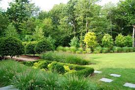 201 lakeview dr, weston (fl), 33326, united states. Weston Ma Dwarf Birch Trees Line A Stone Path And Ornamental Grasses And Boxwood Help To Define Pl Landscape Design Contemporary Landscape Design Landscape