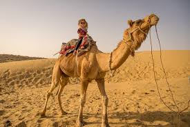The snake lives in the desert. A Night In The Khuri Thar Desert And Camel Safari Tour Khuri India Actualizado 2021 Alquileres Vacacionales En Khuri Tripadvisor