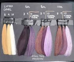 Hair Color Guy Tang My Identity Dusty Lavender Demi