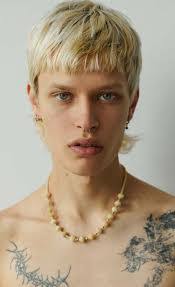 Daniel Cihak's Instagram, Twitter & Facebook