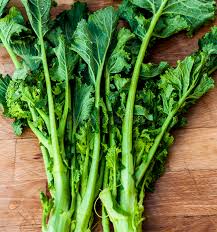 We did not find results for: Bundel Von Vibrierender Gruner Turnip Cime Di Rapa Stockbild Bild Von Dynamisch Mineralien 49271991