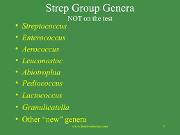 Image result for Group D Streptococcus