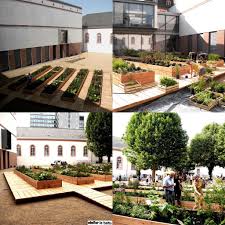 Garten Der Impressionen In Mainz Impressionen Urbane Landwirtschaft Garten