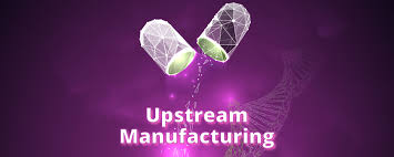 Animal cell technology from biopharmaceuticals to gene therapy. Upstream Manufacturing Of Gene Therapy Viral Vectors