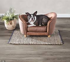 Maybe you would like to learn more about one of these? Aldi Launches Luxury Mini Sofas For Pets For 59 95 Sending Dog Lovers Into A Spin Daily Mail Online