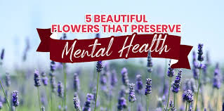 Simple tasks like cleaning your home or even getting dressed in the morning can become uphill battles when mental look at the trees and the grass and the flowers, and come away feeling a little better. 5 Beautiful Flowers That Preserve Mental Health Blog Flower Patch Online Flower Delivery Phillippines