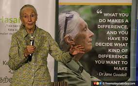 Malaysia has a large number of programs in english for both bachelor's and master's programs. Environmental Education In Schools Can Save Malaysia Says Jane Goodall Free Malaysia Today Fmt