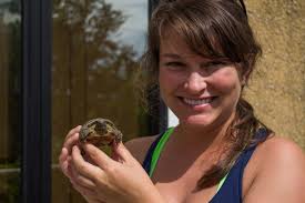 Baby Gopher Tortoise!