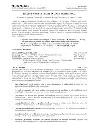 corporate banking credit analyst resume